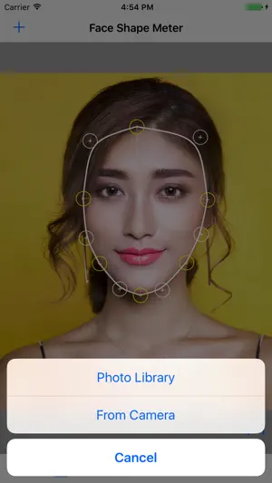 FaceShapeMeter 脸形取景器