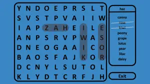 Classic Wordsearch