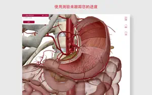 解剖和生理学